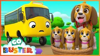 Buster Saves the Puppy | Go Buster - Bus cartoons & Kids stories | Kids Video