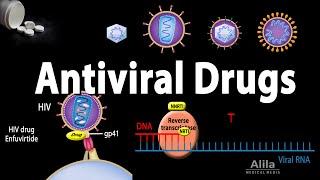 Antiviral Drugs Mechanisms of Action, Animation