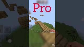 Minecraft Noob VS Pro