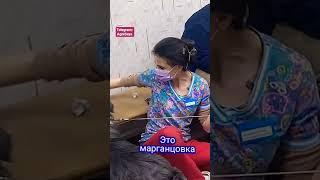 Полное видео уже на канале #юмор #собака #куплинов #озвучка #животные #милота