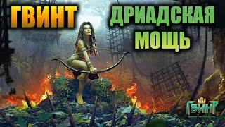 ДРИАДСКАЯ МОЩЬ ● ДРИАДЫ СКОЯТАЭЛИ ● ГВИНТ ● GWENT