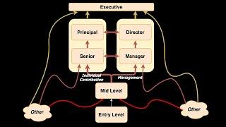 Data Science Career Ladder - EXPLAINED!