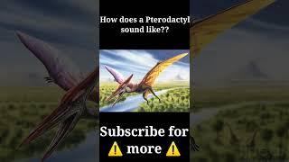How does a Pterodactyl sound like?? 