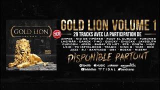 Gold Lion Vol.1 [ Demo Reel ] 12 vidéoclip