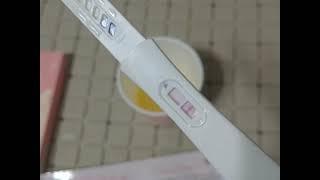 LIVE PREGNANCY TEST