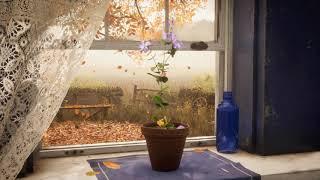 Window into autumn