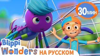 Пауки и Паутина | Обучающие мультики для детей | Blippi Russian