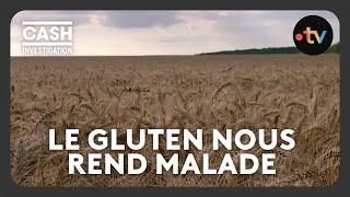 Gluten : notre blé est-il devenu indigeste ? - Cash investigation