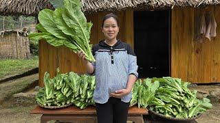 How To Make & Preserve Pickles From Green Vegetables On The Farm - Ly Thi Ca