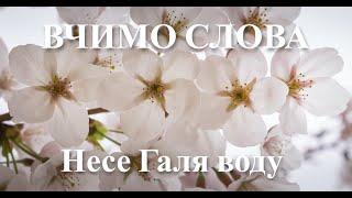 Несе Галя воду. Українська народна пісня. Читає Вікторія Сергієнко