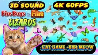 CAT GAMES BiBi TV | Ultimate Cat TV Compilation SPECIAL VOLUME #127 | 3 HOURS | Game On Screen