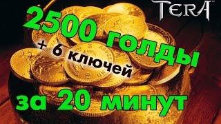 TERA online (RU) - 2500 голды за 20 минут