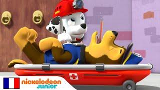 Paw Patrol : La Pat' Patrouille | Chase est malade ! | Nick Jr.