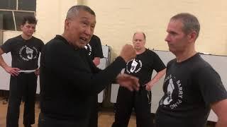 Wing Chun Punch