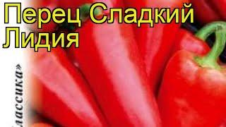 Перец сладкий Лидия. Краткий обзор, описание характеристик, где купить семена cápsicum ánnuum