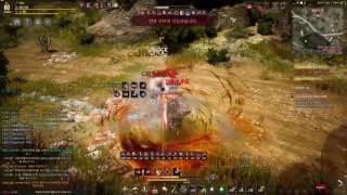 Blackdesert online Warrior PvP Combo !