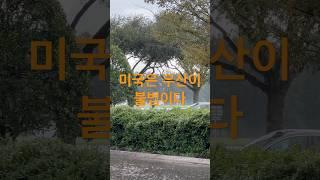 미국은 우산이 불법이다 #usatravelvlog #여행 #미국유학생 #미국이민 #미국 #미국일상