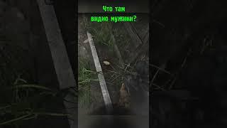 Что там видно мужики STALKER #Shorts