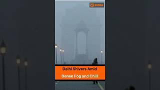 Delhi Shivers Amid Dense Fog and Chill