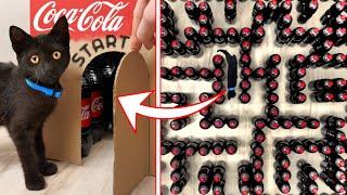 Pet Panther vs Giant Coca-Cola Maze