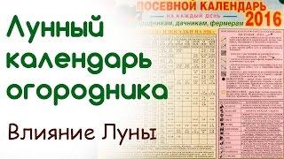 Как лучше применять лунный посевной календарь огородника