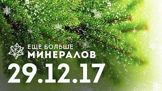 Предновогодний ЕБМ: донаты, поздравления, немного новостей. Захара с днем рождения