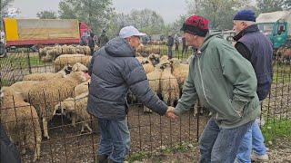 U Visokom na pijaci roba nikad bolja,s puno dobrih pazara