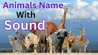 Animals Name and Sound | English | Animals for kids |