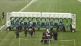 Frankel - Where it all began. His first race Newmarket Maiden