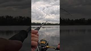 Maybe it's time for a pair of waders...  #fishing #lurefishing #fishingdaily
