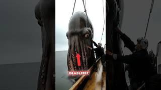 Top 5 Sea Creatures That Could End Us All! #shorts