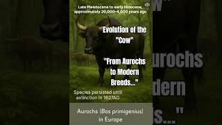 Evolution and Natural History of the Cow: A Scientific Timeline