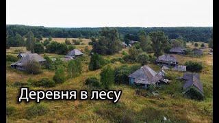 Заброшенная деревня Юзга, Рязанская область. Родина подписчиц моего канала.