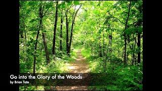 Go into the Glory of the Woods - by Brian Tate