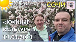 Прогулка в парке "Южные культуры" 19.03.2023 года