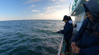 Party Boat fishing south of block island for deep water Seabass and Blackfish (tautog)