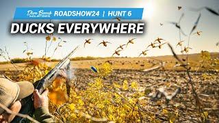 INSANE DUCK ACTION: Unforgettable Duck & Goose Combo Hunt! | #ROADSHOW24 HUNT 6