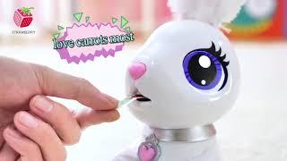 Hungry Rabbit Robot Toy