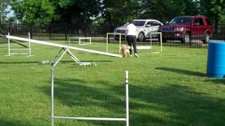 Breeze running agility