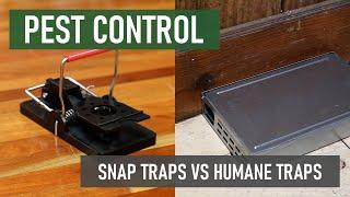 Snap Traps or Humane Traps? [DIY Rodent Control]