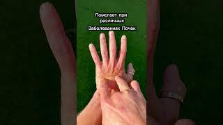 Эти 2 точки лечат почки