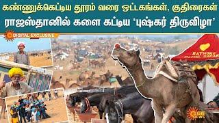 Rajasthan Pushkar Fair 2023 | ராஜஸ்தானில் களை கட்டிய ‘புஷ்கர் திருவிழா’ | Sun Digital Exclusive