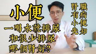 一喝水就小便、或者很久都不小便，哪一個腎好？腎臟有病，小便先知！小便出現這幾個症狀，是身體有病的症狀！