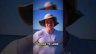 Groovy Gavin Investigates: Do Mermaids Exist?  @GroovyGavin