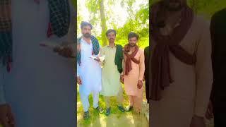 Ustad Asif Ali pigeons enjoy karen #vlogs