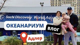 ТОП место, куда сходить с ребенком в Адлере или в Сочи