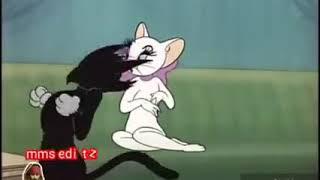 Tom kissed his girl friend tom and Jerry status