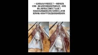 魷魚遊戲