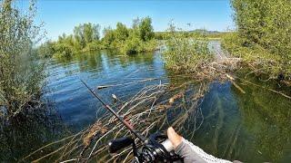 I needed a fishing “Reset day”