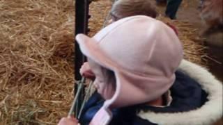 Charlotte Pham goes to the farm!